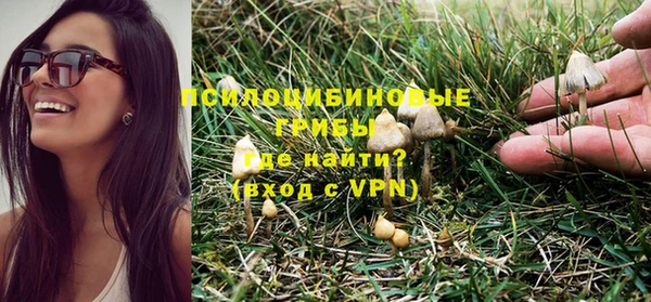 хмурый Балахна