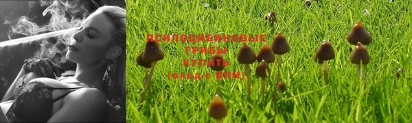 хмурый Балахна