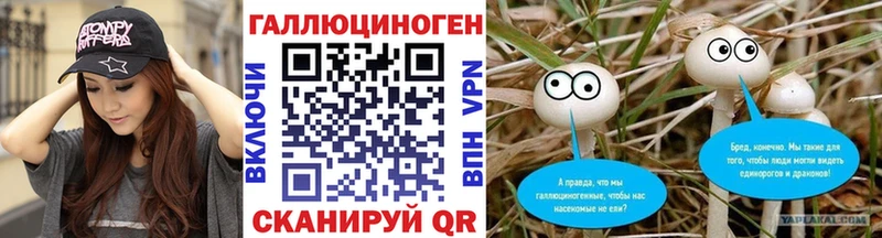 купить закладку  Озёры  shop клад  Псилоцибиновые грибы Psilocybine cubensis  omg зеркало 
